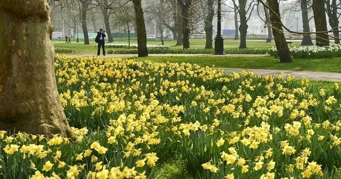 Green Park, Londres