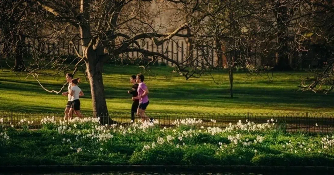 St James's Park, Londres