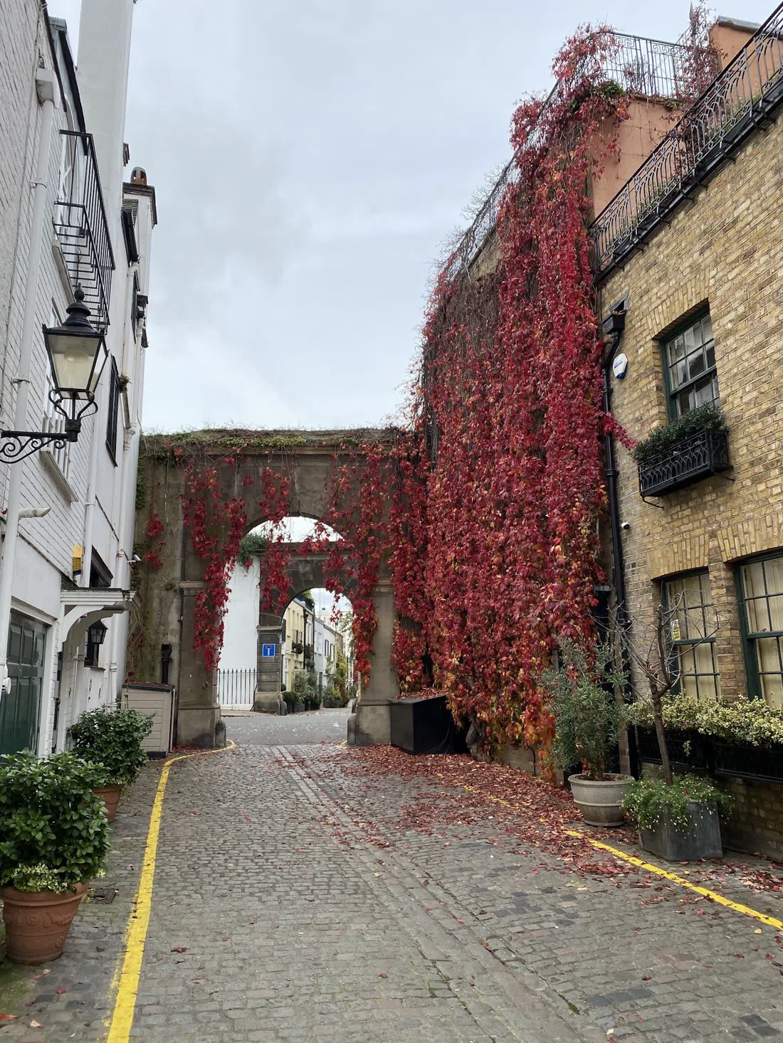 Kynance Mews, London