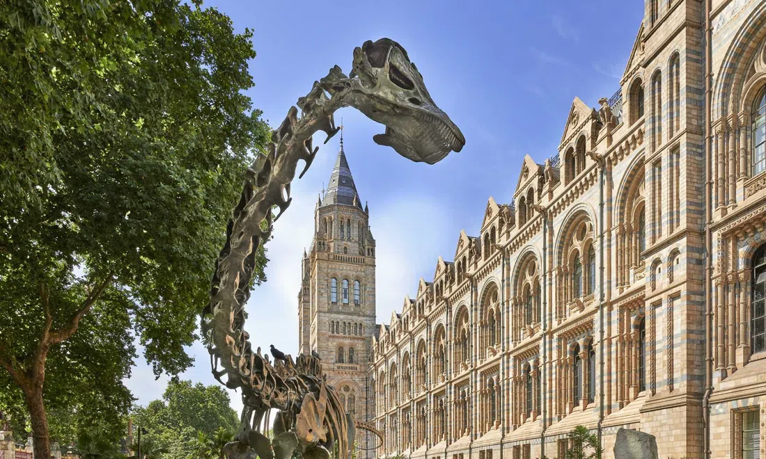 Natural History Museum